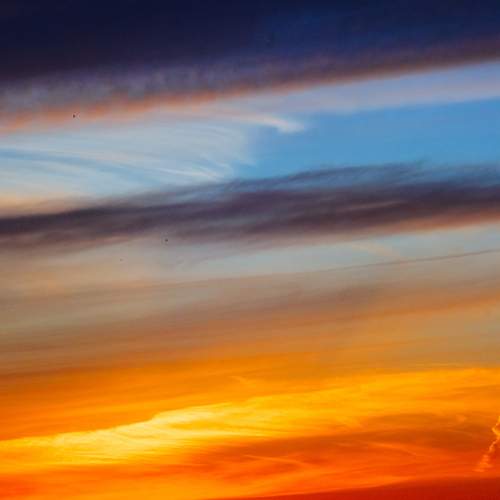 Photo #12556880