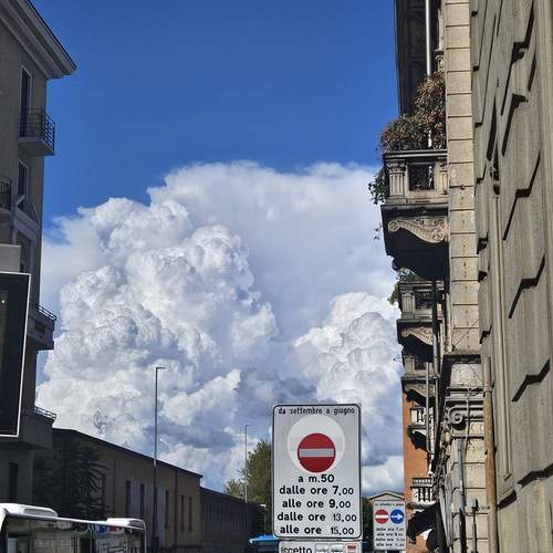 Photo #12556932
