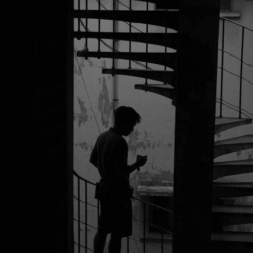 Contemplation in the Shadows