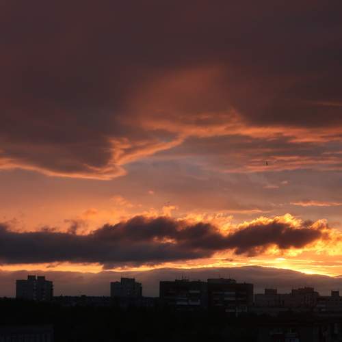 Photo #12557058