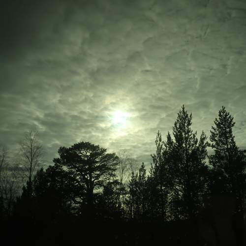 Photo #12557061