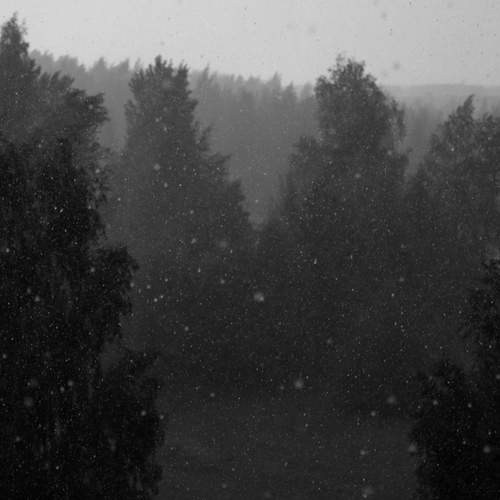 Photo #12557164
