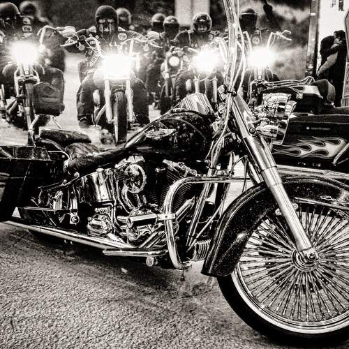 Photo #12557177
