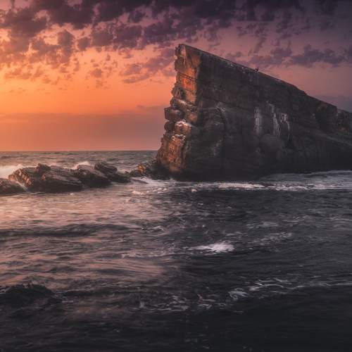 Photo #12557205