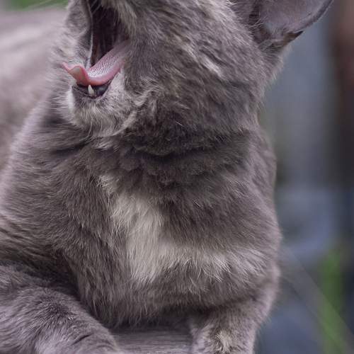 Photo #12557374