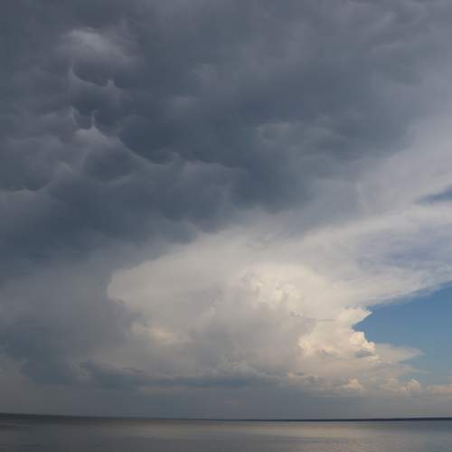 Photo #12557391