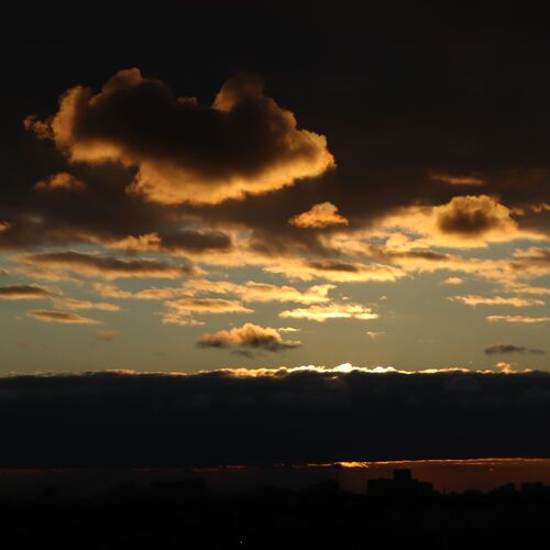 Photo #12557421