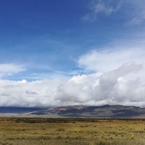 Photo #12557440