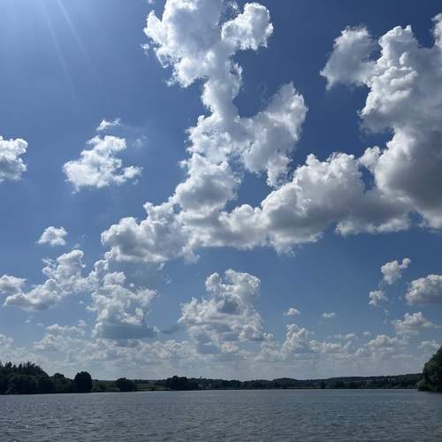 Photo #12557457