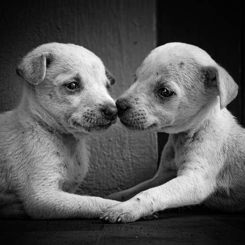 Photo #12557689