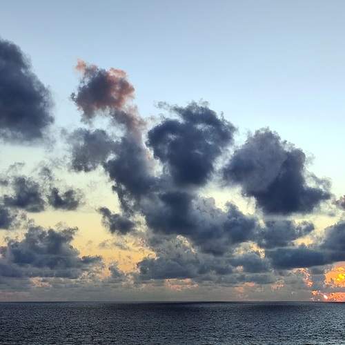 Photo #12557714