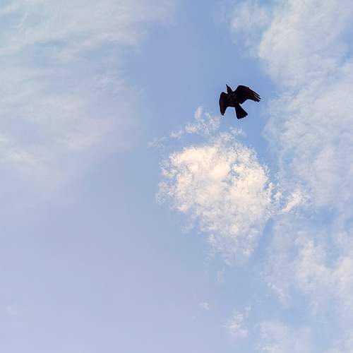 Photo #12557768