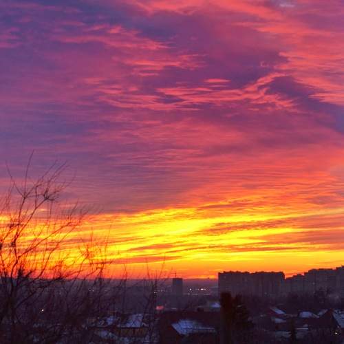 Photo #12557780