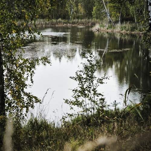 Photo #12558009