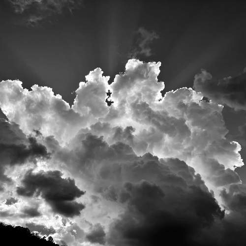 Photo #12558228