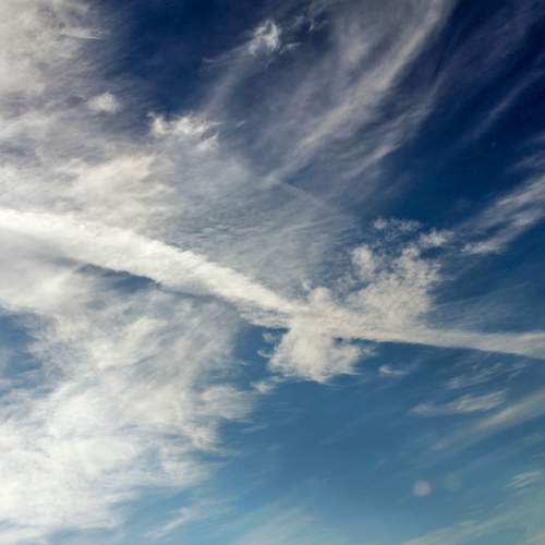Photo #12558232