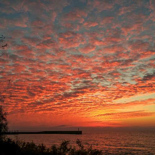 Photo #12558233