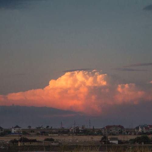 Photo #12558234