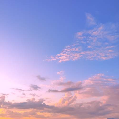 Photo #12558242