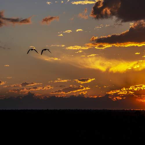 Photo #12558540