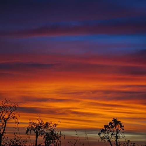 Photo #12558553