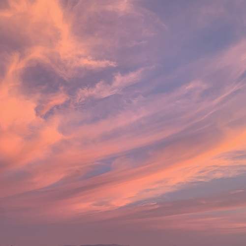 Photo #12558583