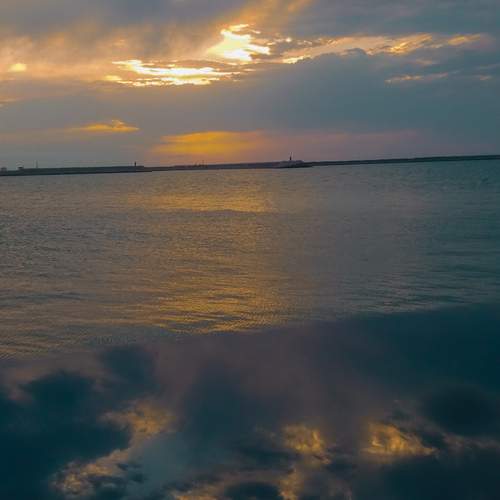 Photo #12558668