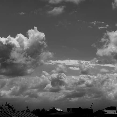 Photo #12558673