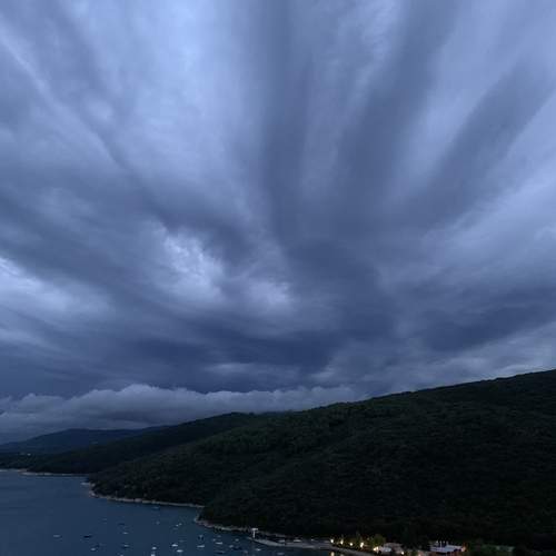 Photo #12558740