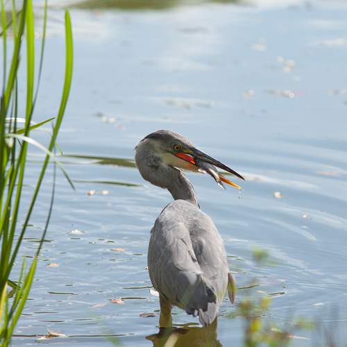 Photo #12558745