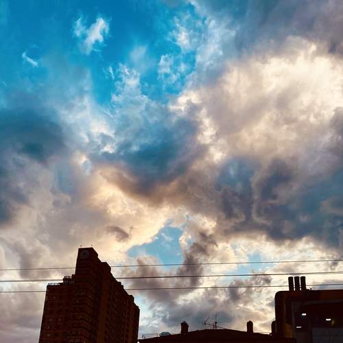 Photo #12558750