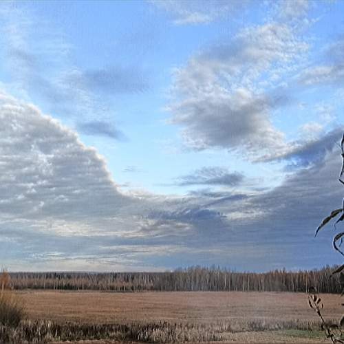 Photo #12558808