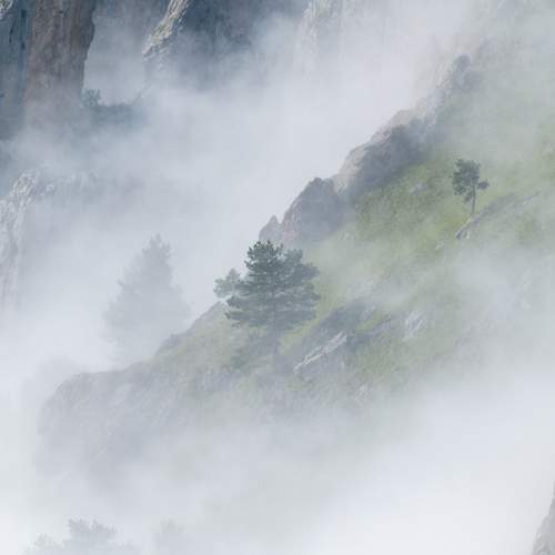 Photo #12558827
