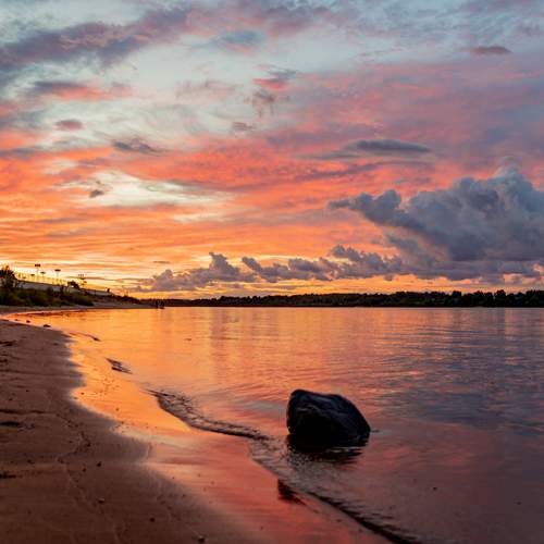 Photo #12558833