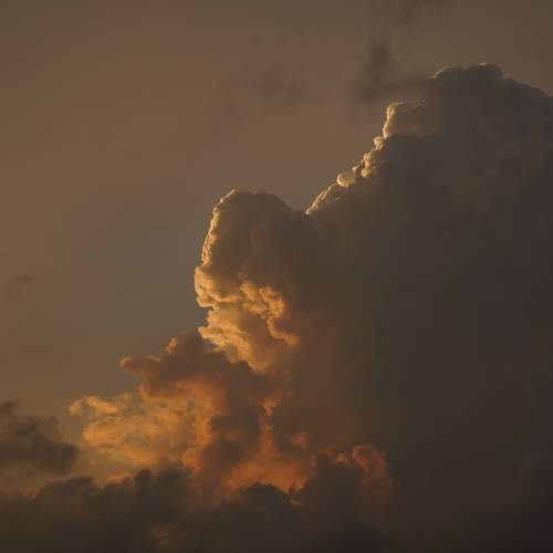Photo #12558846
