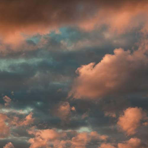 Photo #12558857