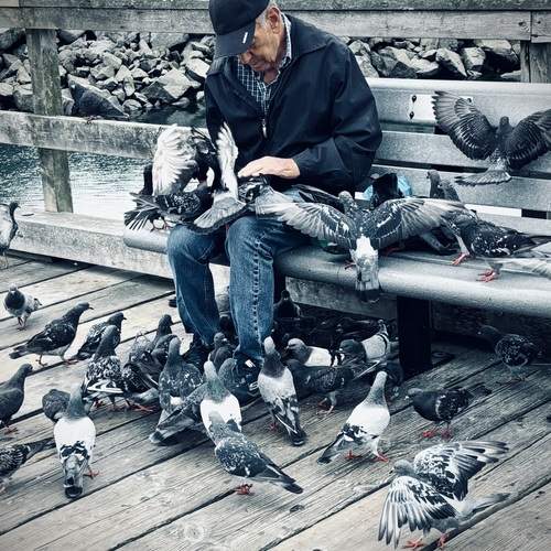 Photo #12559013