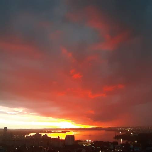 Photo #12559023