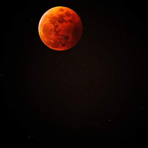 Photo #12559095