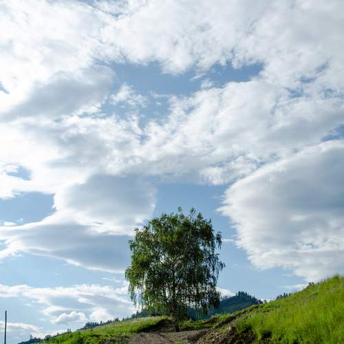 Photo #12559142