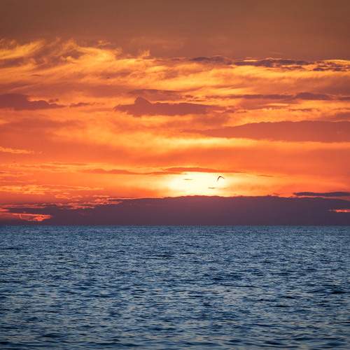 Photo #12559202