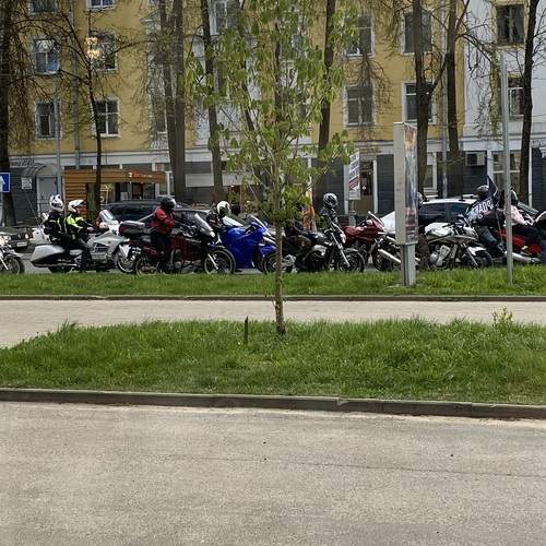 Photo #12559289