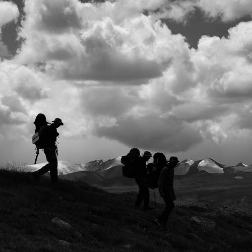 Photo #12559304