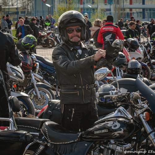Photo #12559399