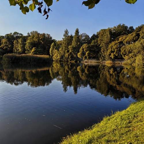 Photo #12560020