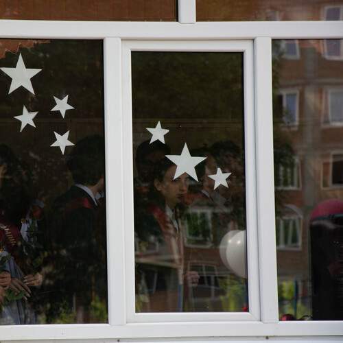 Photo #12560028