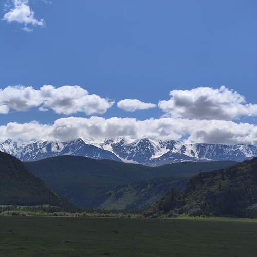 Photo #12560065