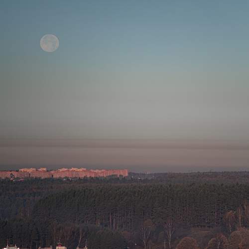 Фотография #12560094