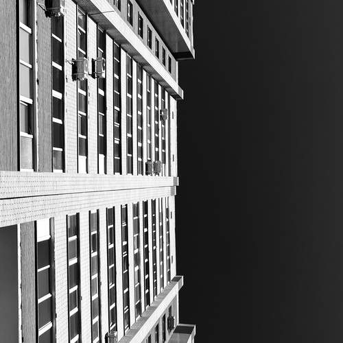 Photo #12560169