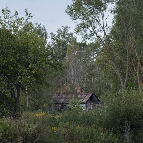 Photo #12560423